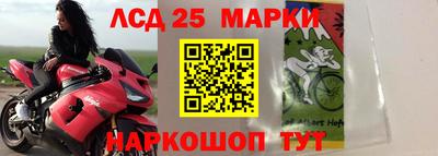 гидра Можайск