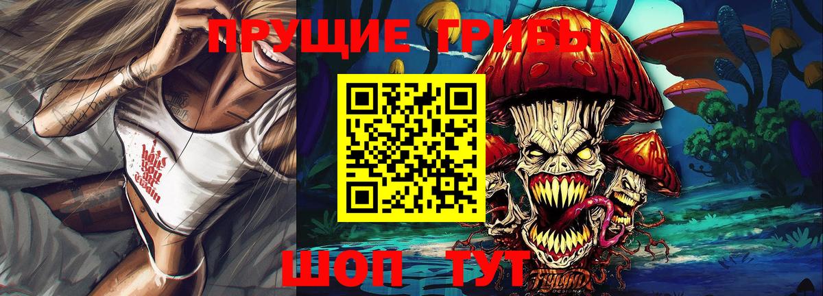 Галлюциногенные грибы Psilocybe Урюпинск